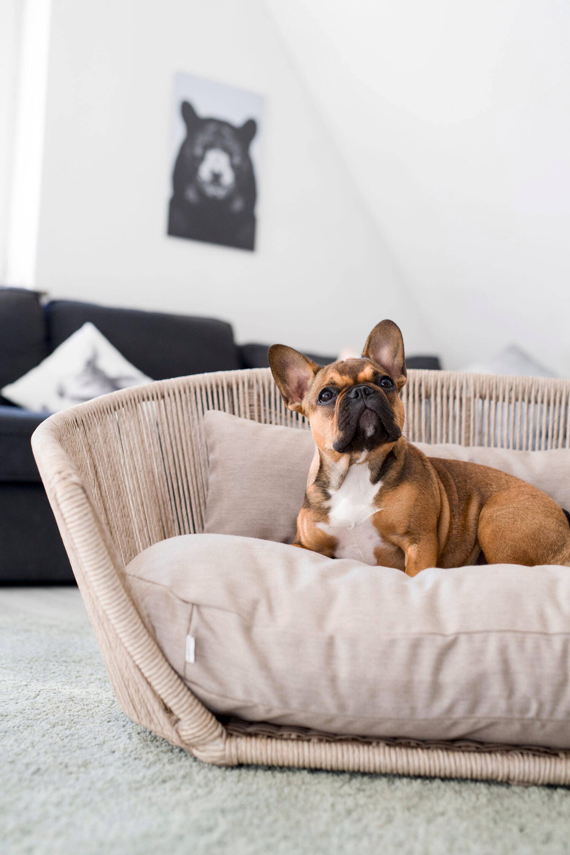 LABONI - Volentis GmbH - Wholesale Pet Bed - Dog - Vogue Design Smooth Dog Bed Collection9