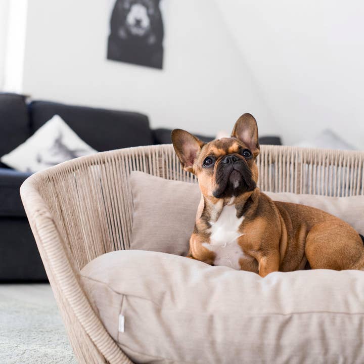 LABONI - Volentis GmbH - Wholesale Pet Bed - Dog - Vogue Design Smooth Dog Bed Collection9