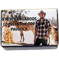 AUSSIE SLANG A - EEN PAAR KANGOEROES LOS IN HET BOVENSTE WEILAND voor wholesale door La Volve