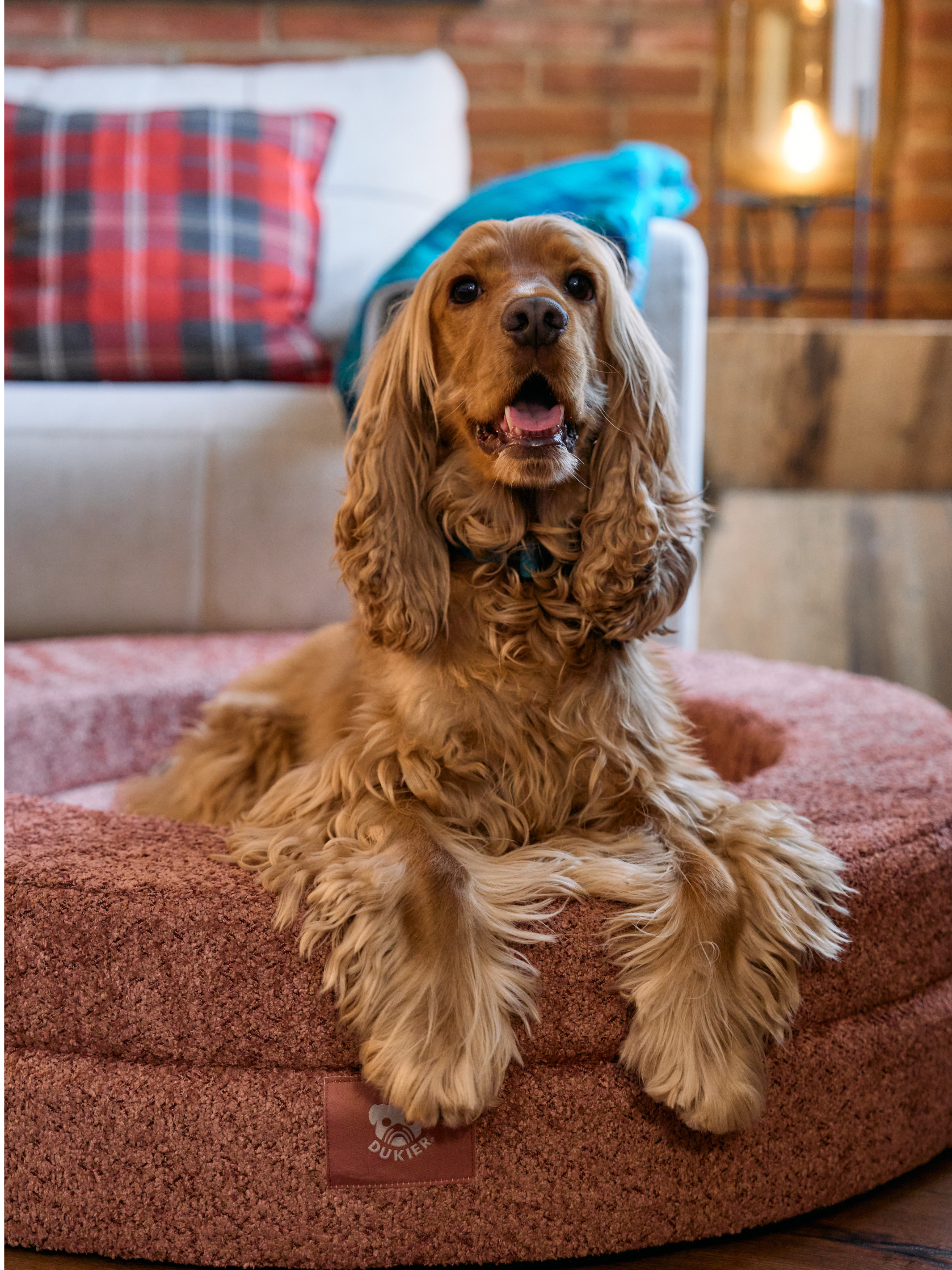 Dukier - Wholesale Pet Bed - Dog - DUKIER TERRACOTTA BED COVER4