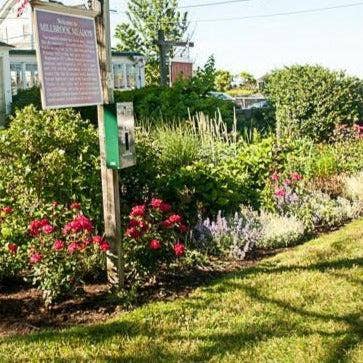 Rockport Candle Company - Wholesale Jar/Filled Candle - 07 Millbrook Meadow Candle3