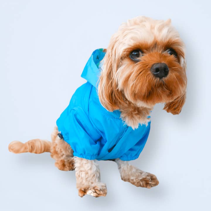 Zelda & Harley – wholesale Pet raincoat – Dog – Showers Reversible Raincoat3