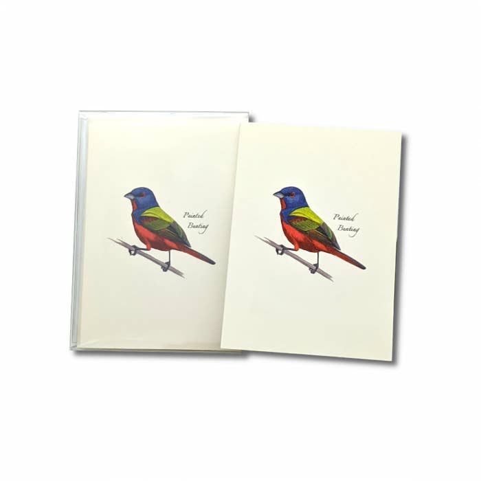 Earth Sky + Water - Wholesale Stationery/Notecard Set - Painted Bunting2