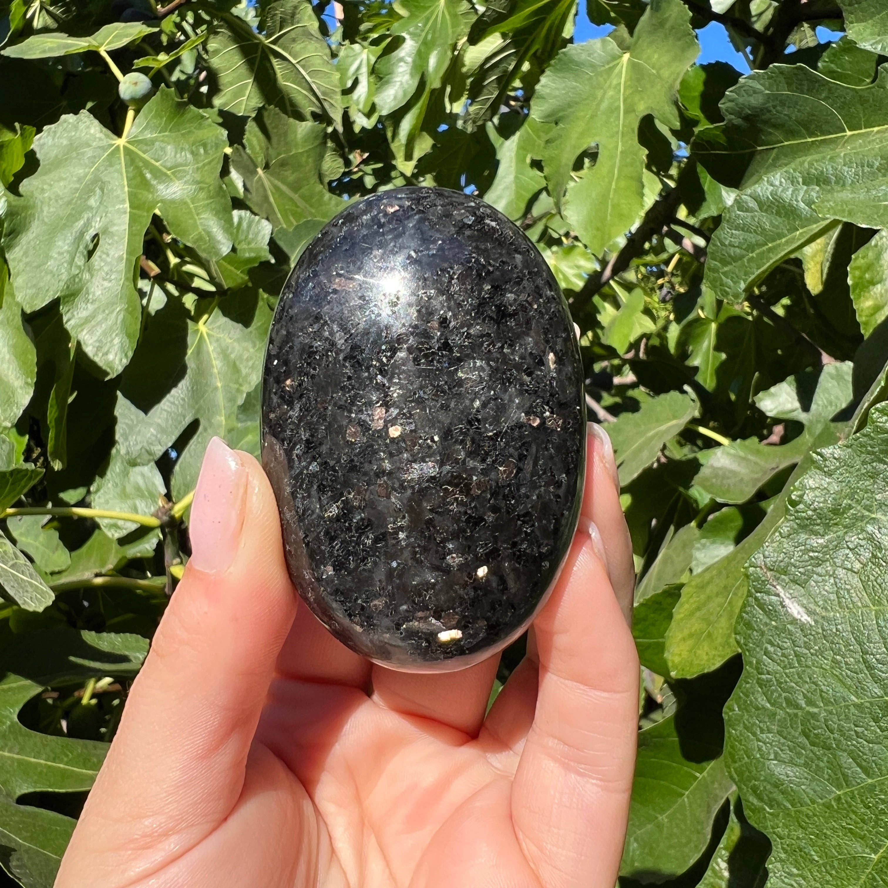 Wild Moon Artistry - Vendita all'ingrosso Pietra/cristallo spirituale - Pietra di palma Coppernite0