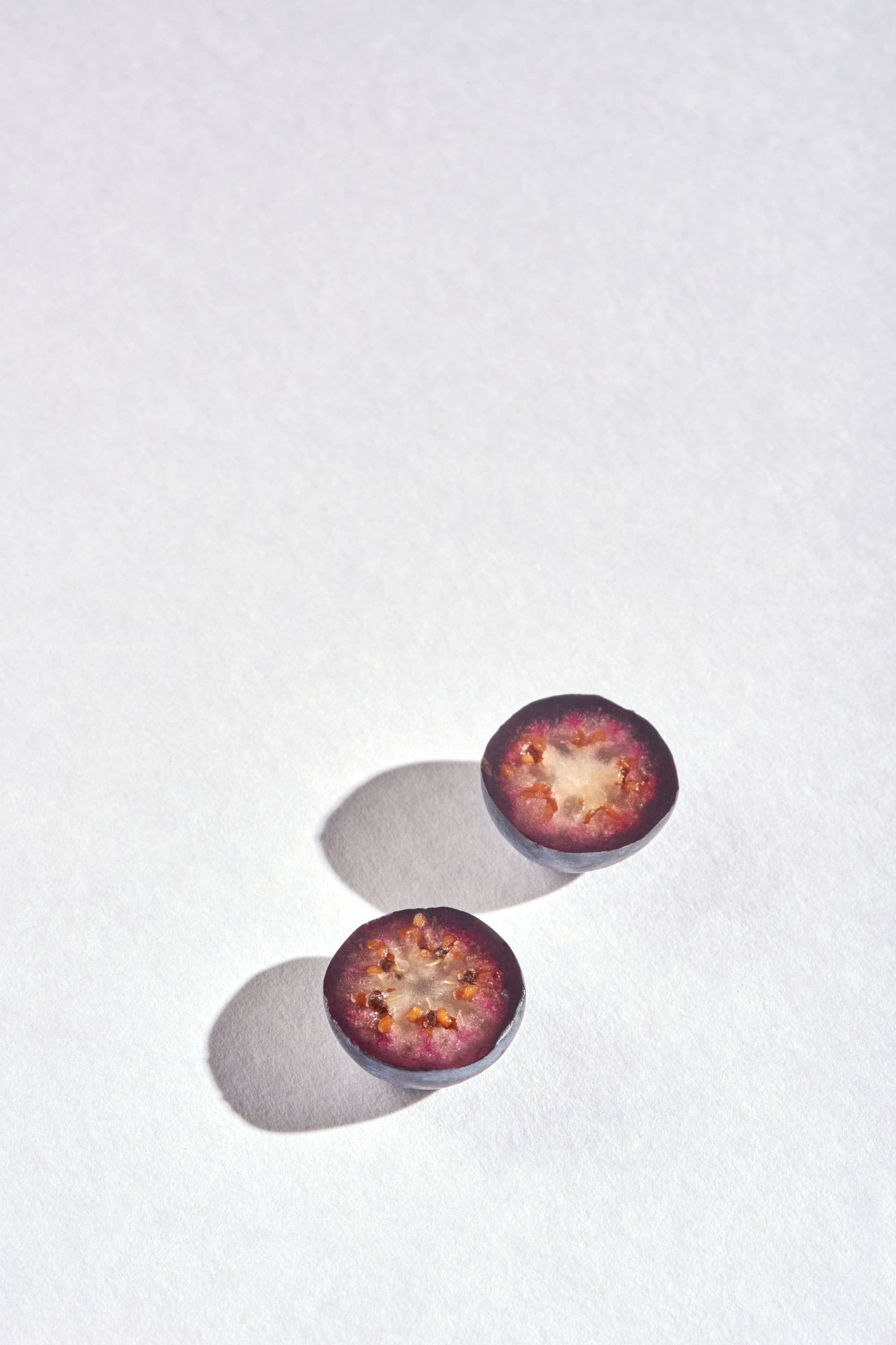 Plūkt - Wholesale Health/Detox Tea - cold brew tea NORDIC MORNING, organic, blueberry3