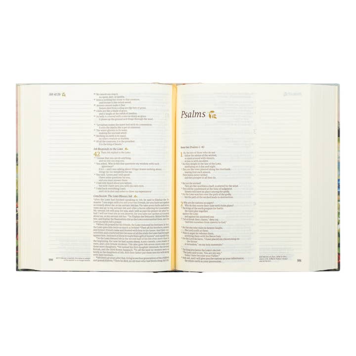 Hosanna Revival - Wholesale Book - Adult - NLT Notetaking Bible : Coram Theme