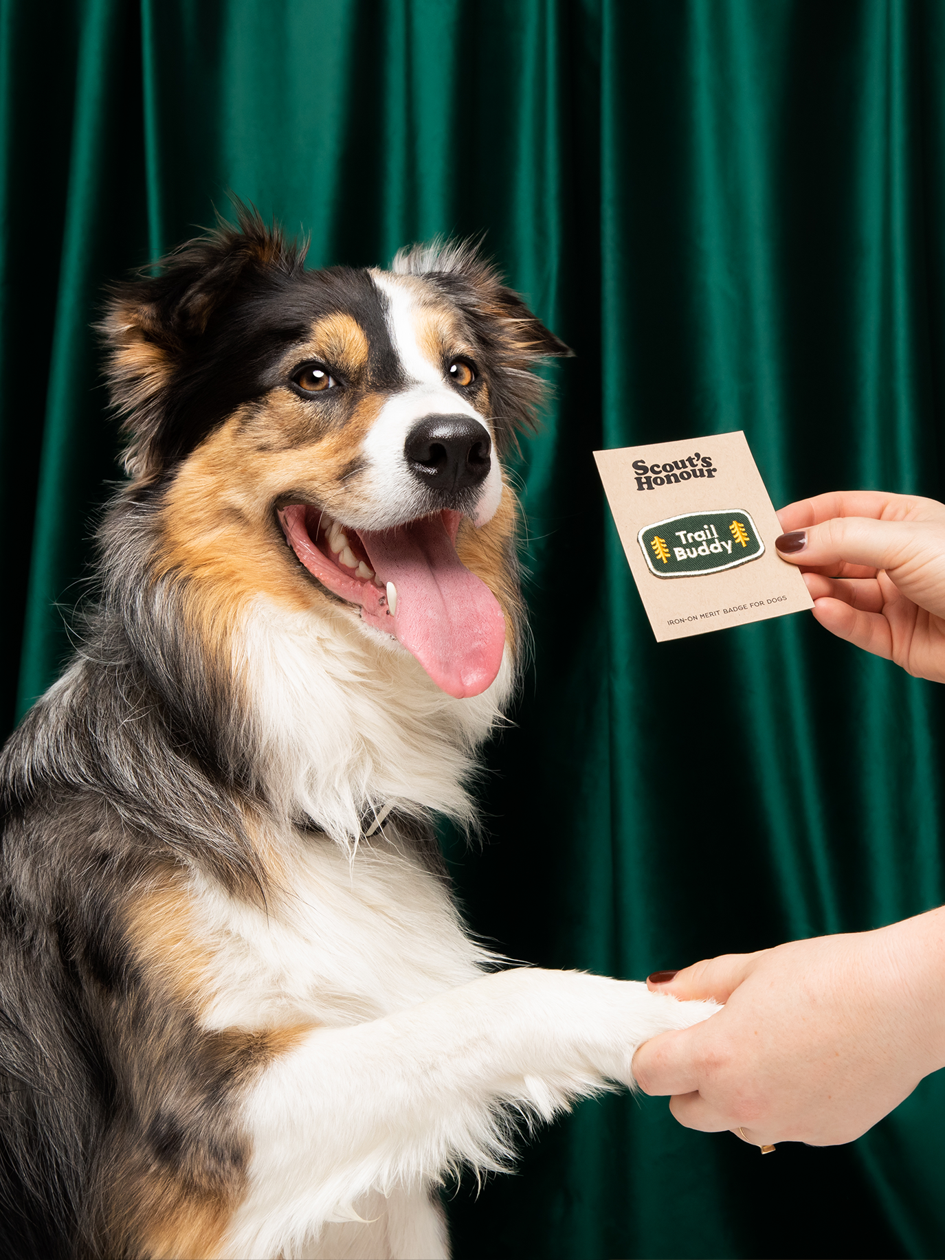 Scout's Honour Pty Ltd – wholesale Pet bandana – Dog – Trail Buddy iron-on patch for dogs and cats3