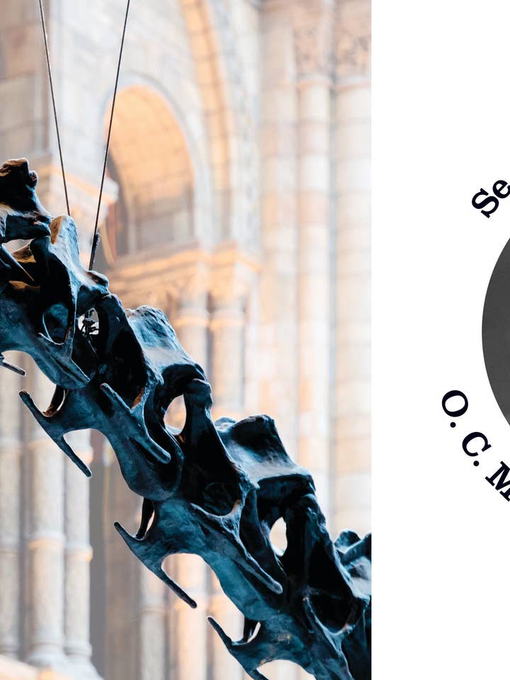 El diplodoco for wholesale by The Creative Company