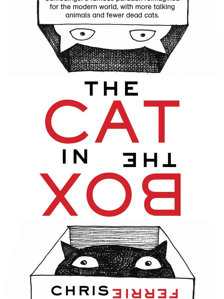 Cat in the Box: Whimsical Rhyming STEM Picture Book (HC) for wholesale by Sourcebooks