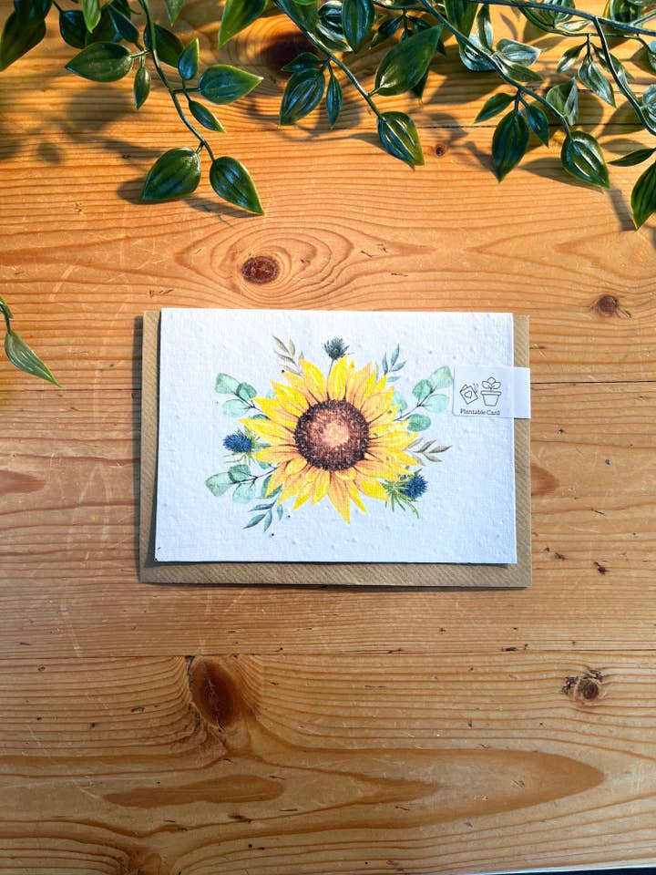 Tarjeta de Semillas de Papel - Girasol para venta al por mayor de Scribe & Grow