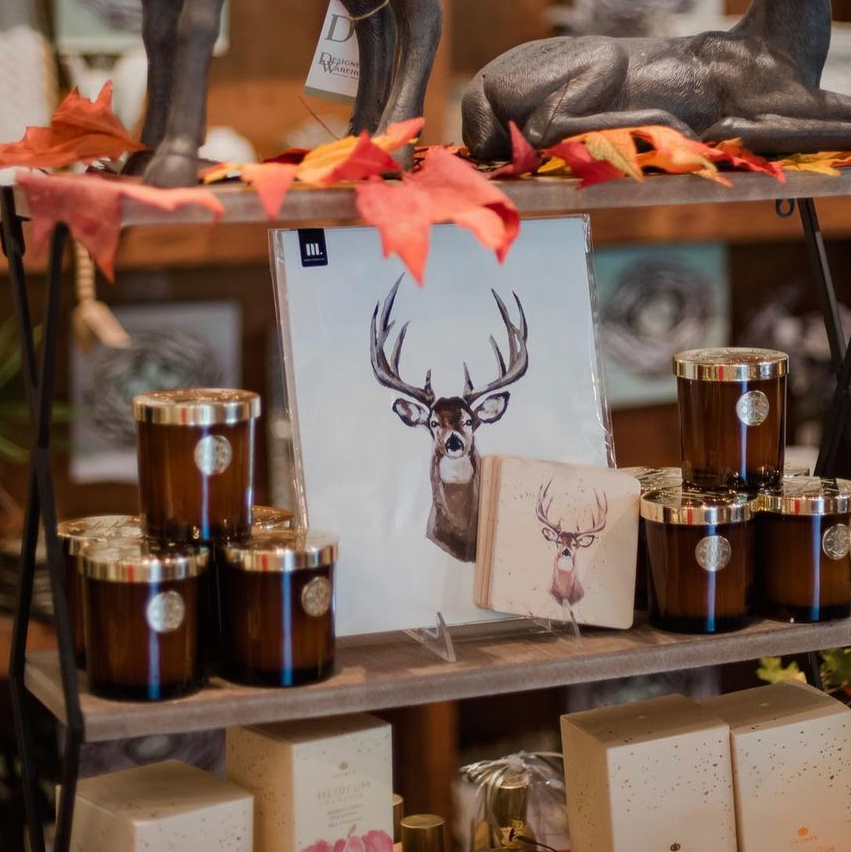 Mads Studio & Co. - Wholesale Art Print - Whitetail Deer Fine Art Print1