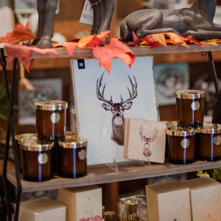 Mads Studio & Co. - Wholesale Art Print - Whitetail Deer Fine Art Print1