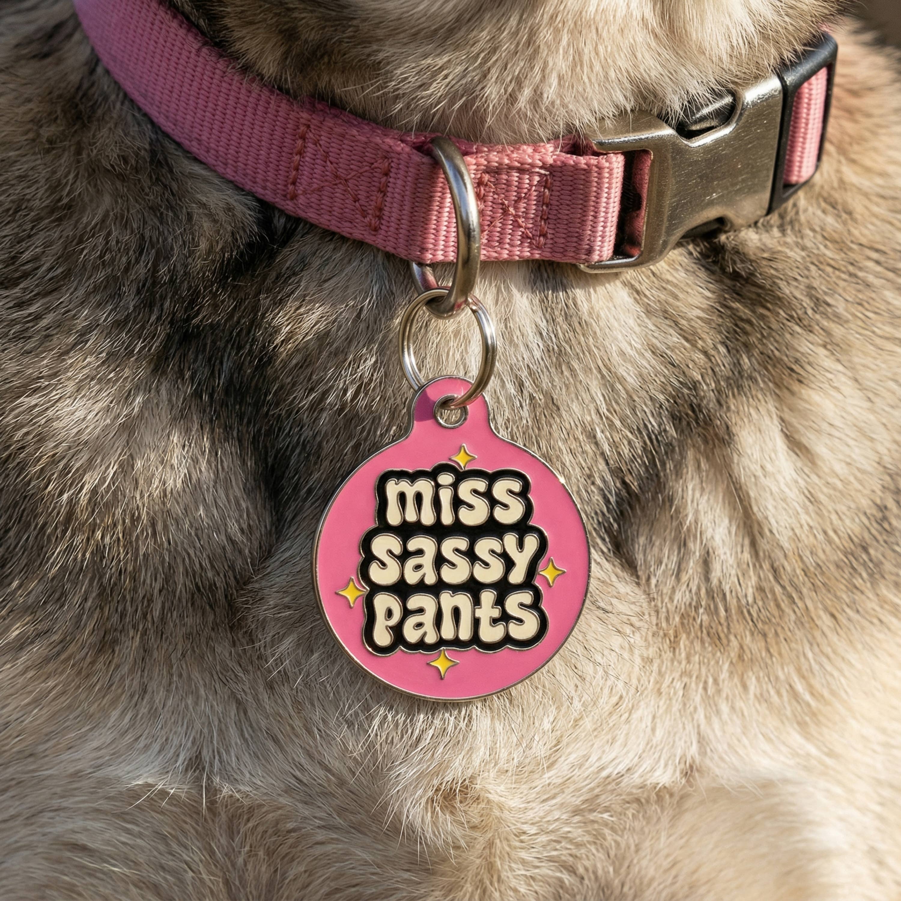 Bad Tags - Venta al por mayor Chapa de identificación - Perros - Placa de Perro de Esmalte con ID de Mascota Escaneable - Señorita Sassy Pants1