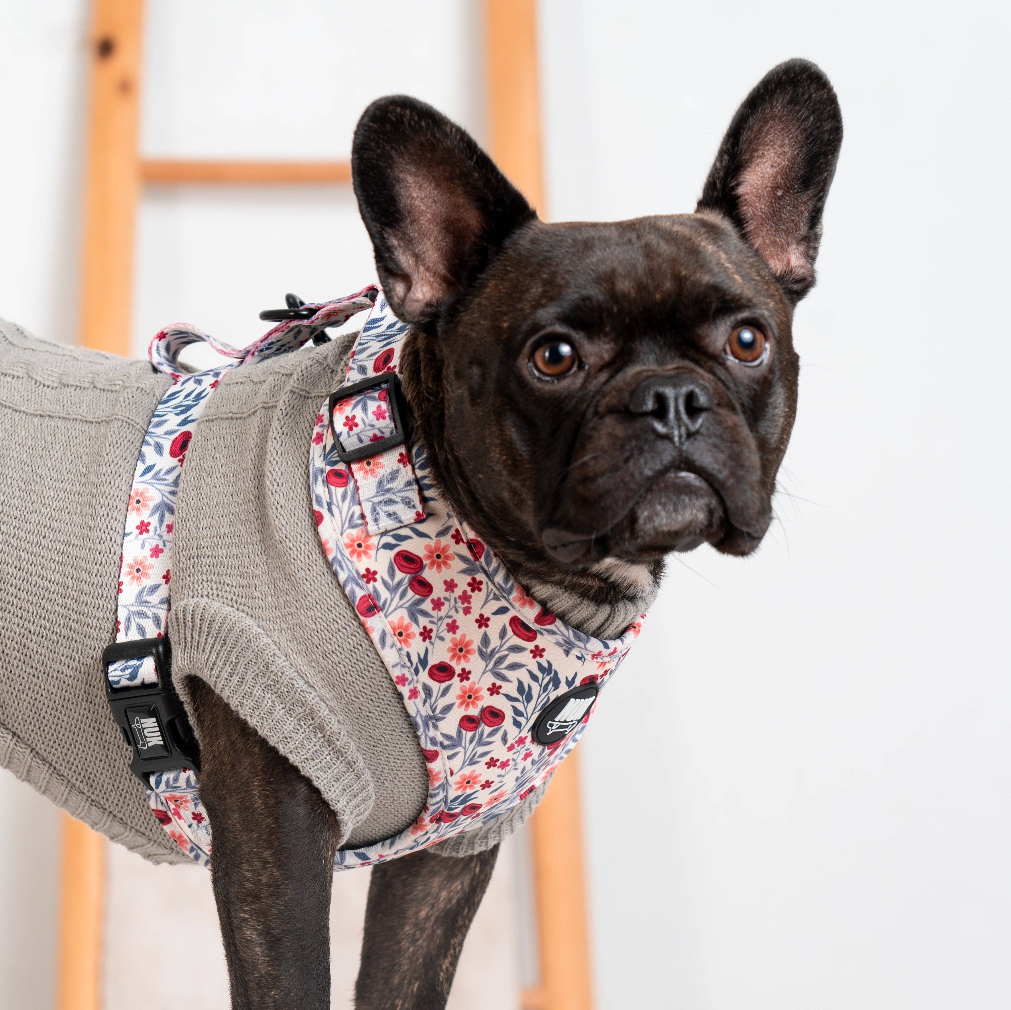 Nuk Pets - Wholesale Pet Sweater - Dog - Jersey Lily1