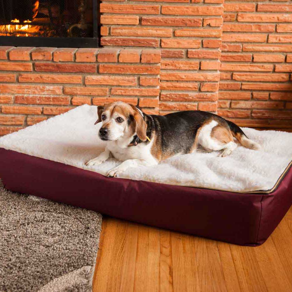 Snoozer Pet Products - Vendita all'ingrosso Letto - Cani - Letto ortopedico lounge super per cani con sherpa crema3