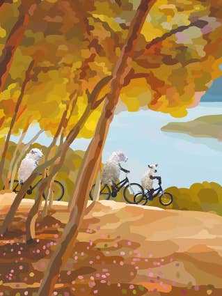 322C sheep cycling on hill/ Periodic Society / Greeting Card for wholesale by Periodic Society