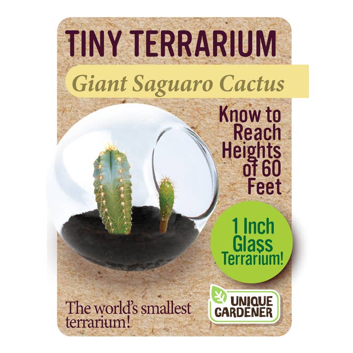 Silver Circle Products - Wholesale Retailer Display - Home & Living - Tiny Terrarium Cactus Counter Display with 6 Varieties1