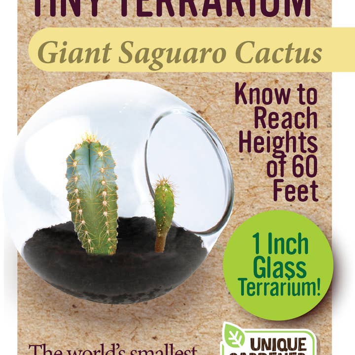 Silver Circle Products - Wholesale Retailer Display - Home & Living - Tiny Terrarium Cactus Counter Display with 6 Varieties