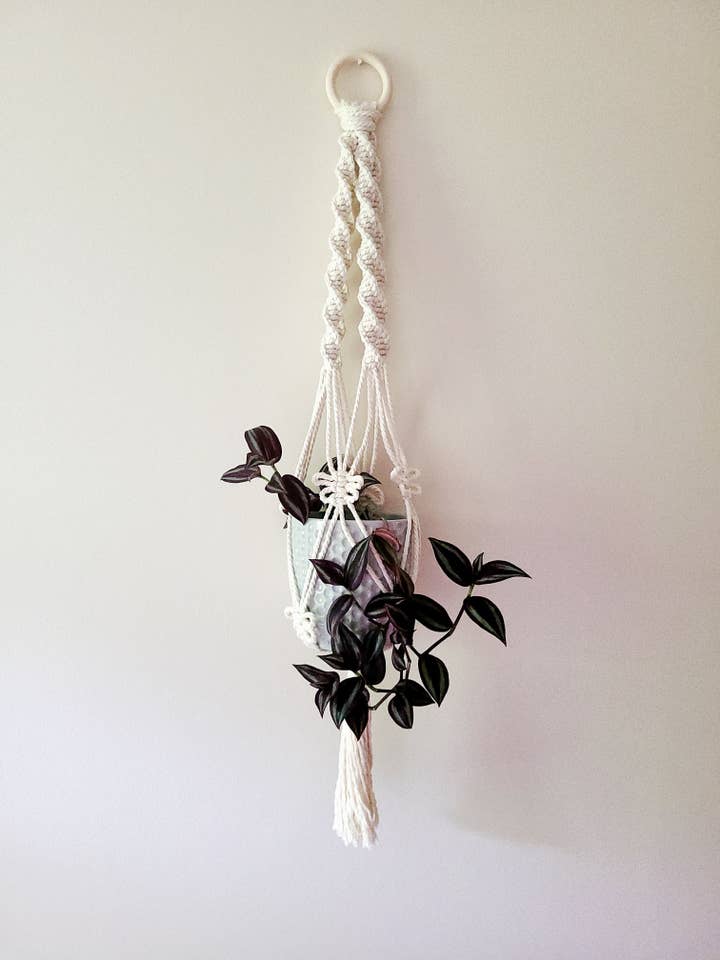 Colgador de plantas de macramé trenzado de tres hilos con nudos de polilla/mariposa para venta al por mayor de TwistedMoth Made