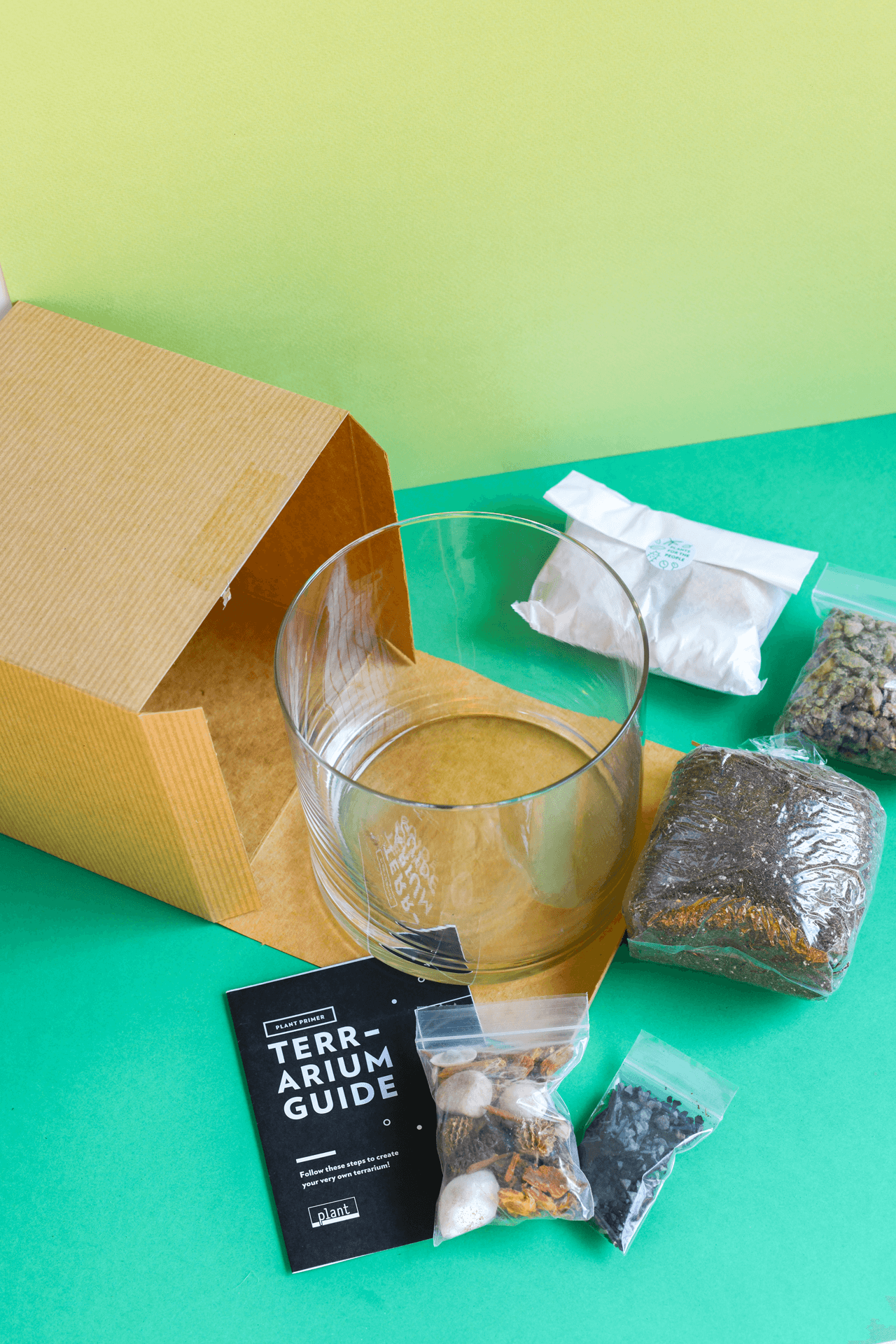 Plant Shop - Vente Kit de bricolage - Kit de terrarium : grand cylindre1