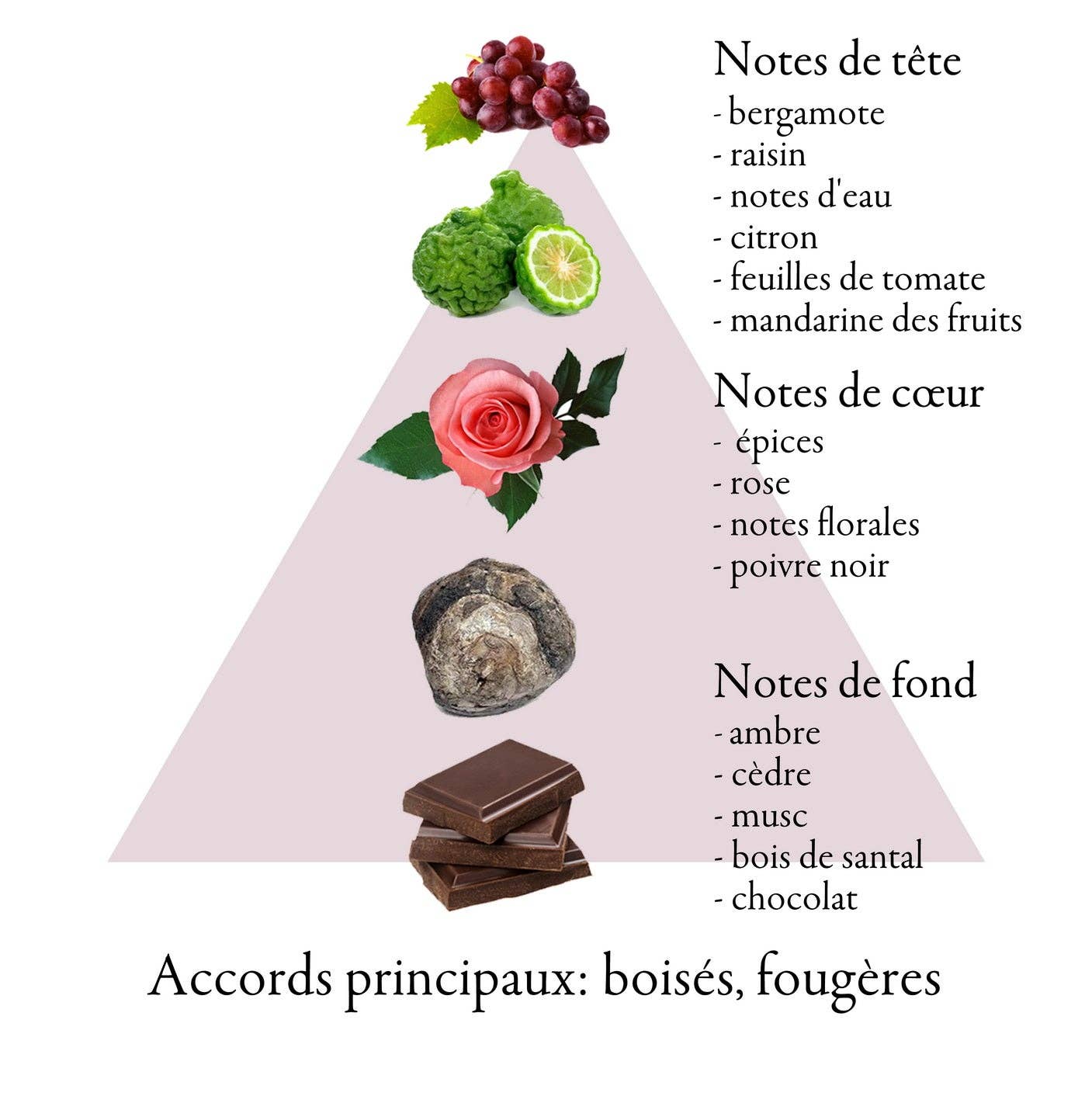 FAMILLE GRASSE PARFUMS - Wholesale Perfume/Eau de Toilette - VENT DU NORD 85°2' eau de parfum for men 100ml3