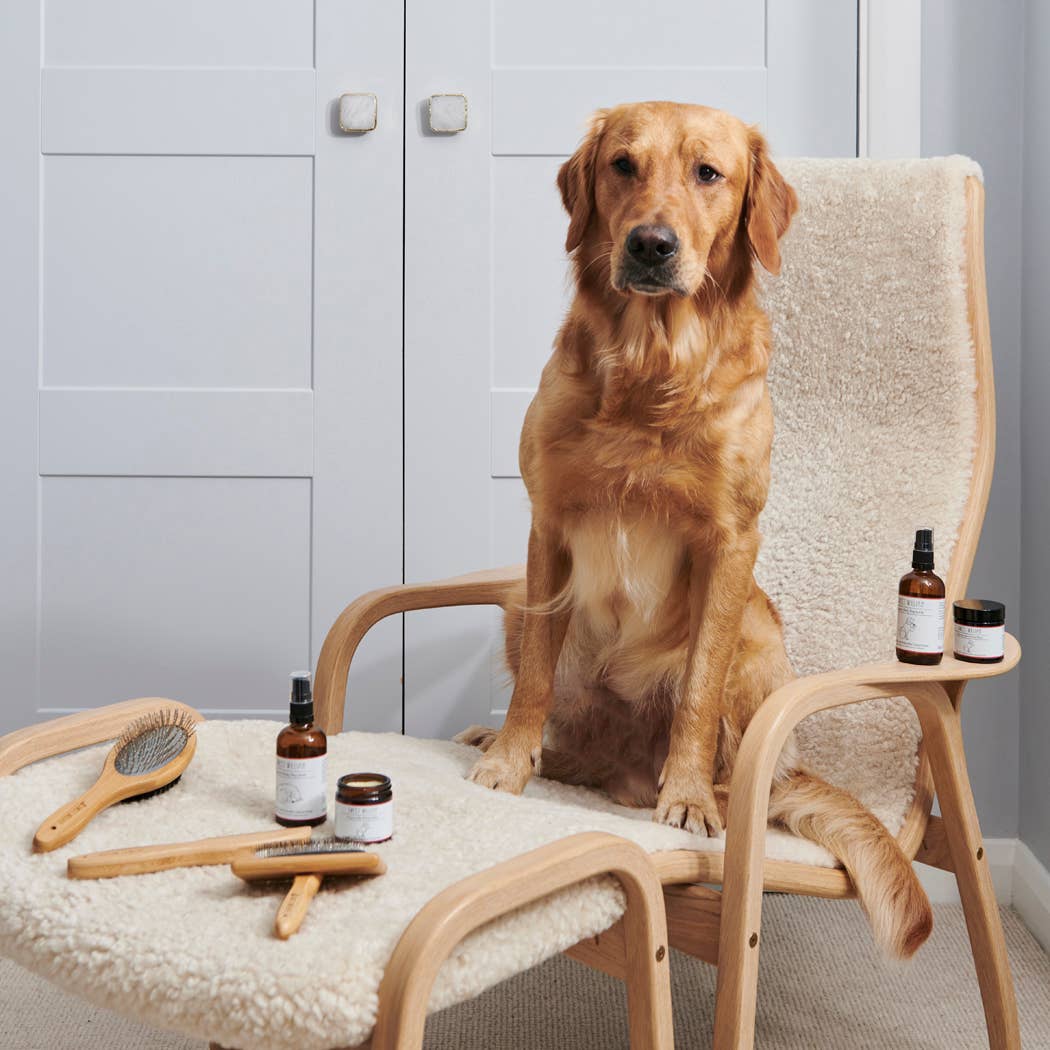 Sweet William Designs – wholesale Pet brush – Cat/dog – Dog Grooming - Bamboo / Metal comb3