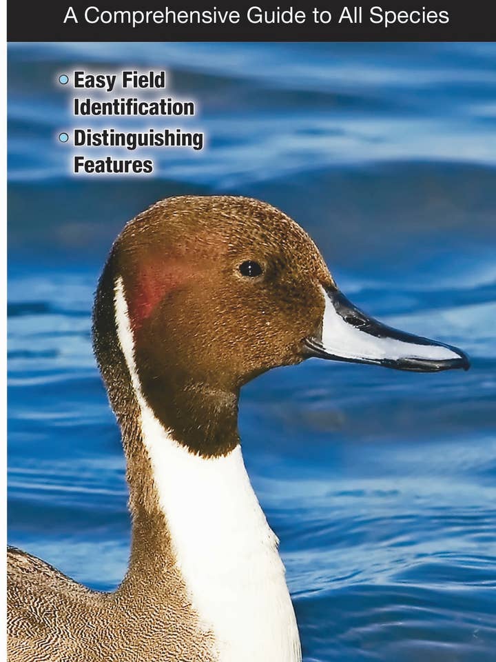 Waterfowl of North America for wholesale by Quick Reference Publishing, Inc