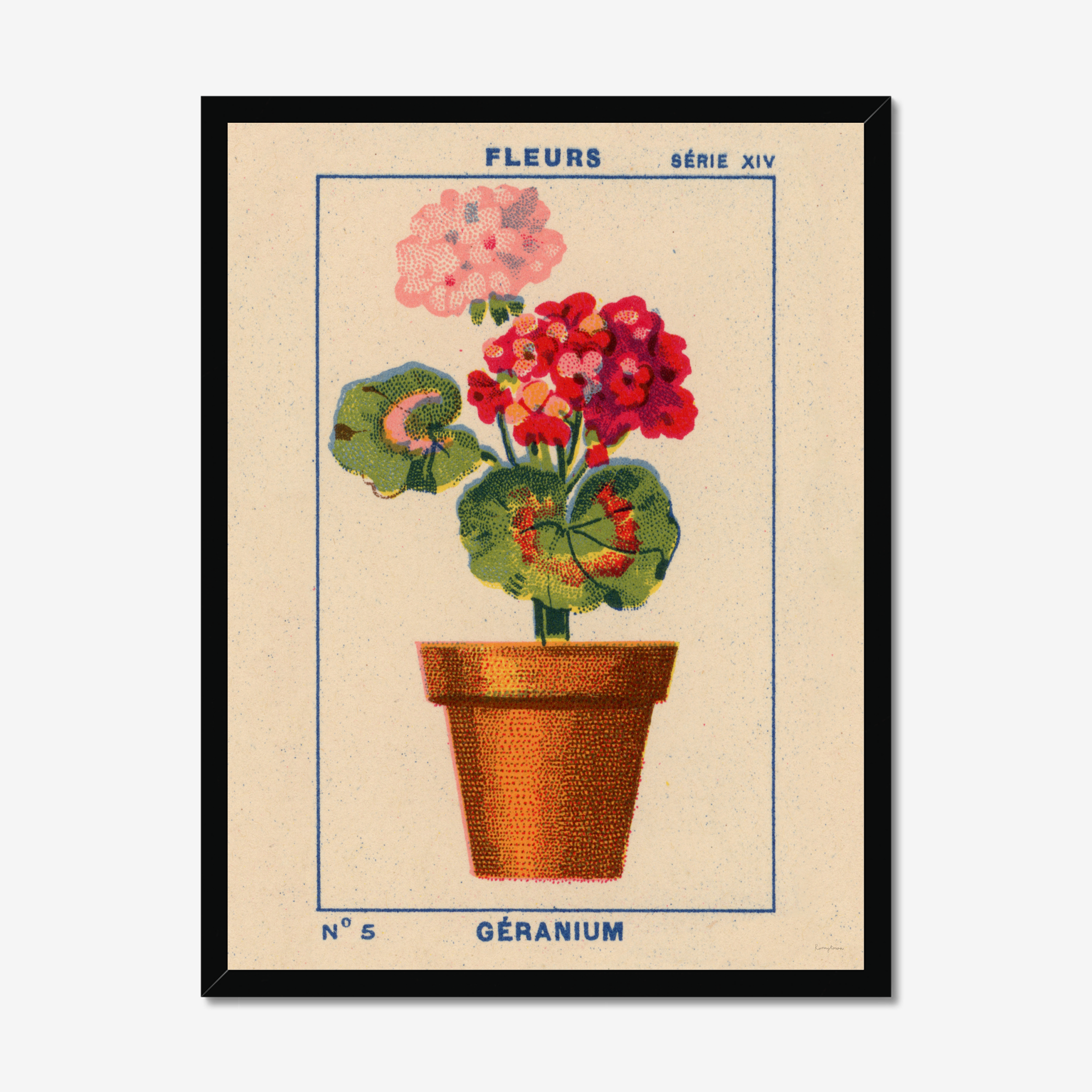 Roomytown Inc - Wholesale Art Print - Géranium - Geranium Fine Art Print2