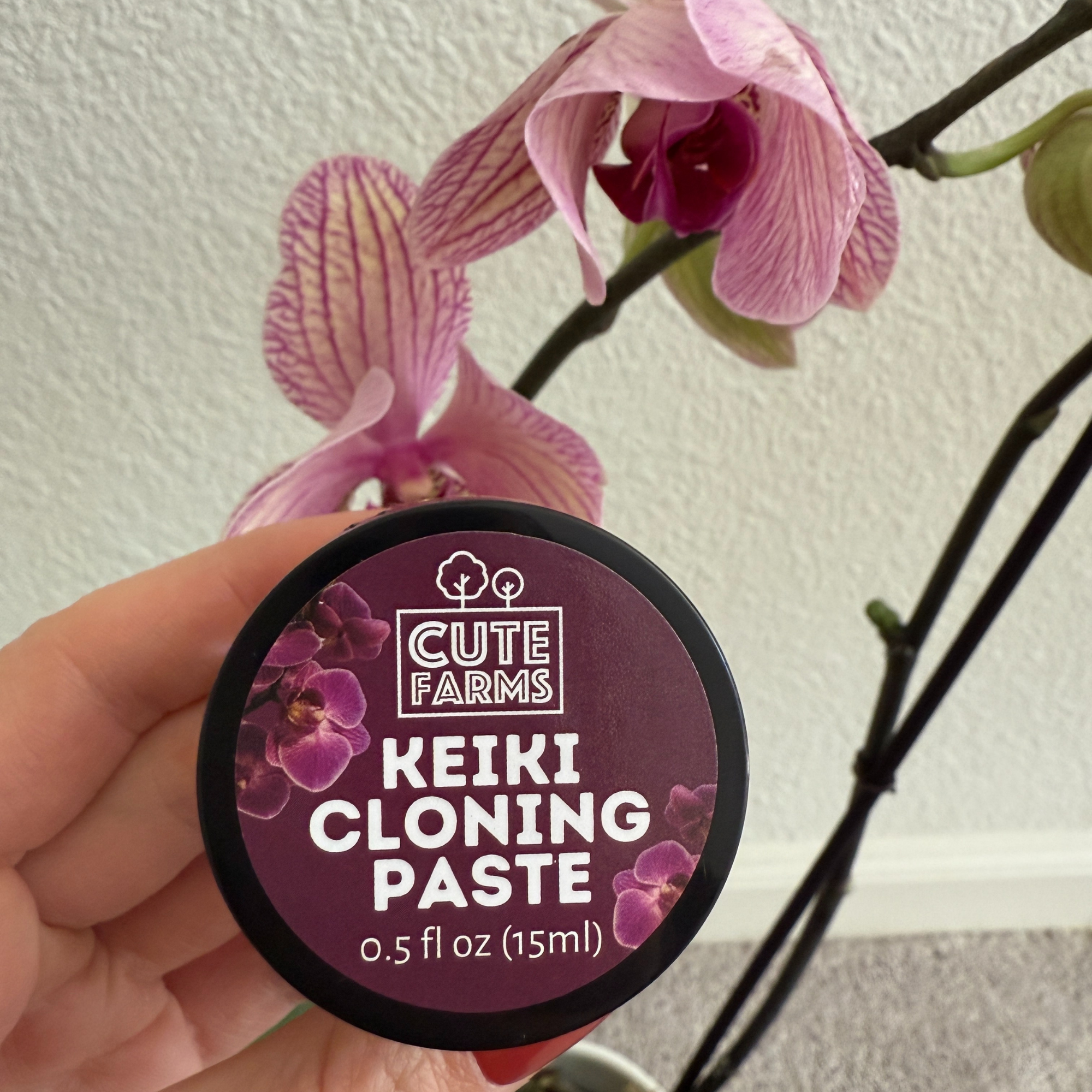 Cute Farms - Wholesale Live Plant - Keiki Cloning Paste for Orchids & Houseplants1