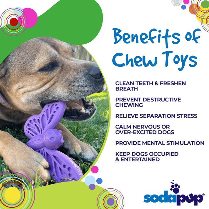 SodaPup Dog Toys – wholesale Tuggleksak för hund - Hund – Fjäril Nylon Tugga & berikning leksak