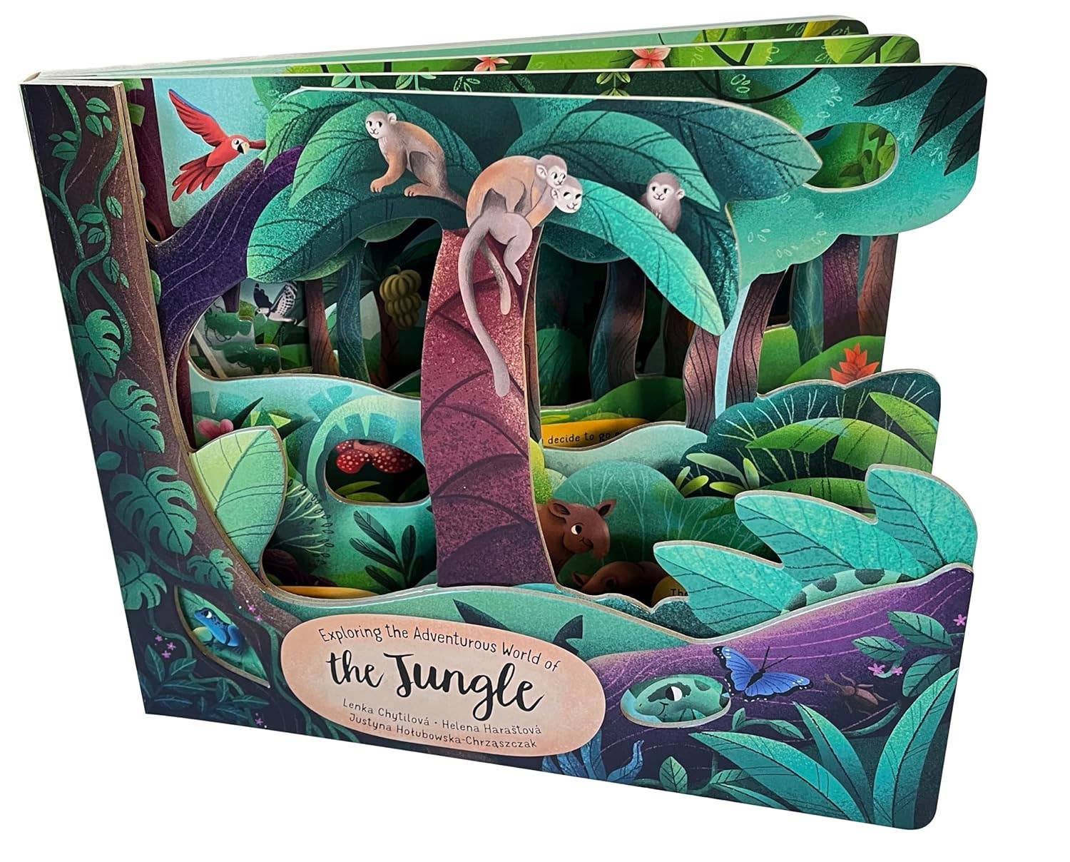 Fox Chapel Publishing - Wholesale Baby & Toddler Book (0-2) - Exploring the Adventurous World of the Jungle3