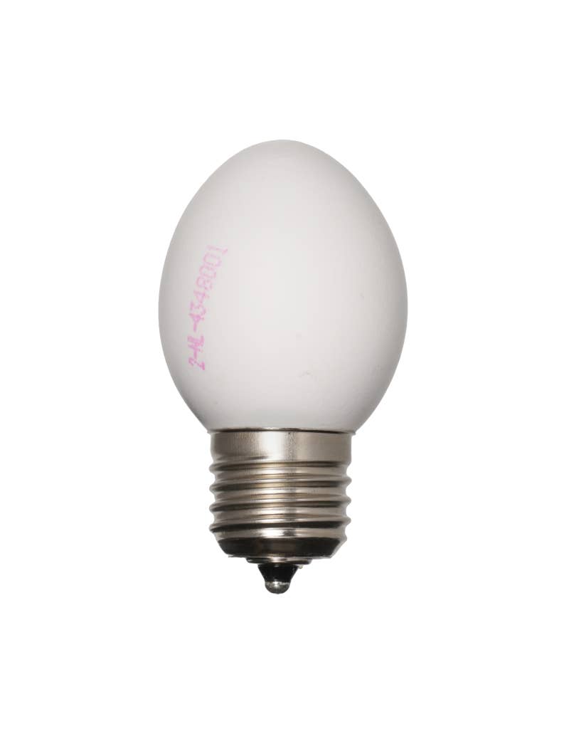 Egglamp - Wholesale Light Bulb/Puck - Egglamp Brown | Lightbulb made from real Egg