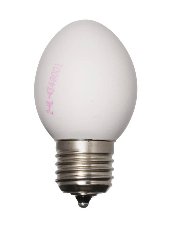 Eilampe Braun | Glühbirne aus echtem Ei für den Großhandel von Egglamp