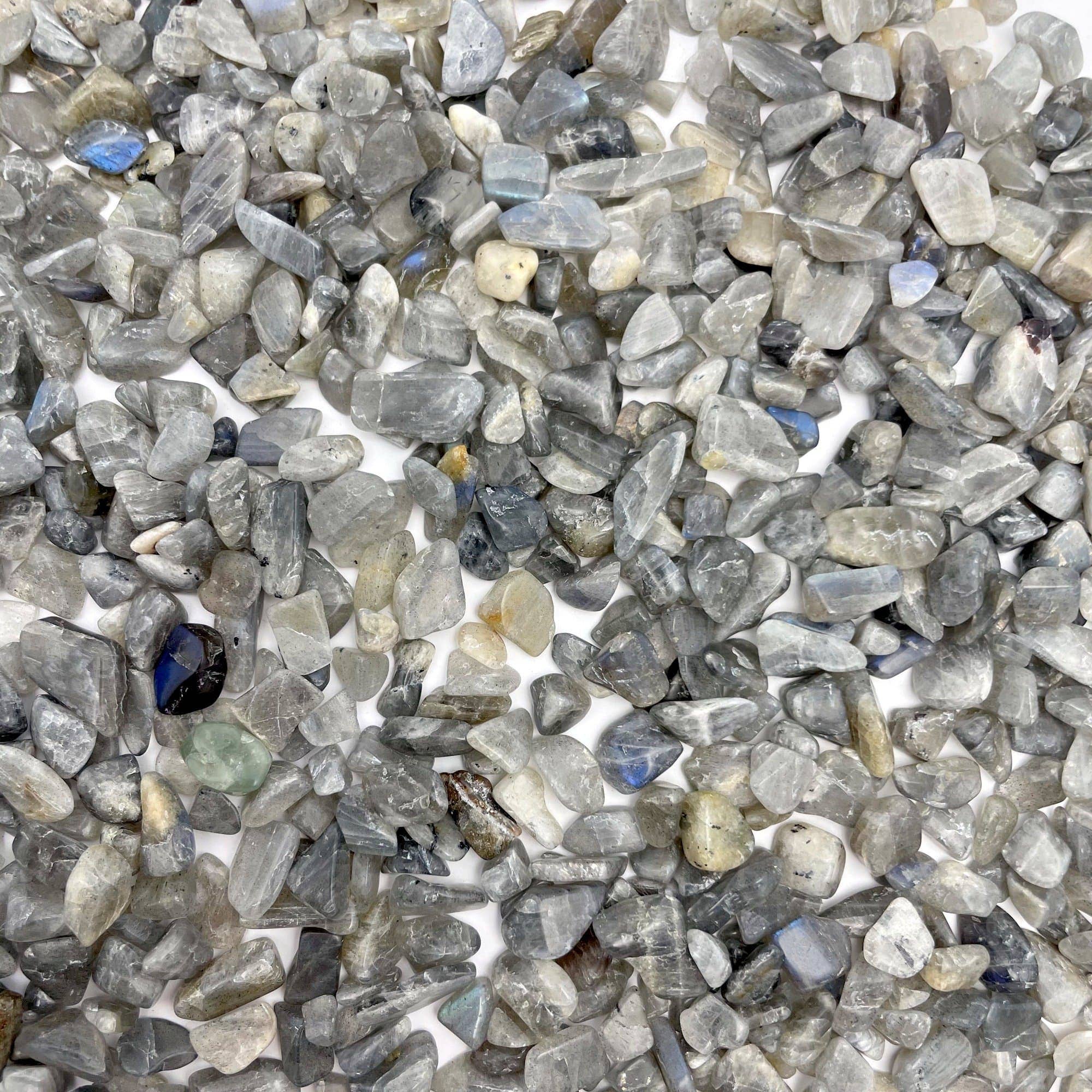 Rock Paradise - Wholesale Spiritual Stone/Crystal - Labradorite Crystal 1lb Chips Tumbled Stones2