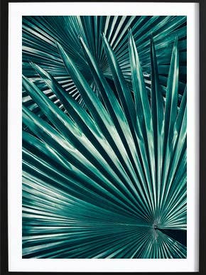 Petticoat Blade for engroshandel hos Wallified