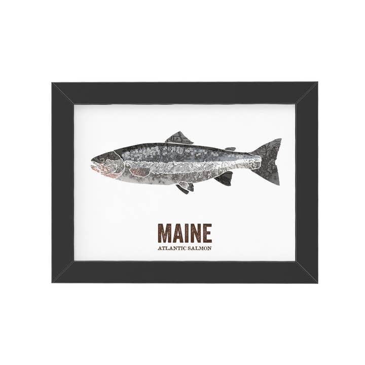 Maine State Fish Art - Atlantic Salmon for wholesale by Wooden Pencil Company