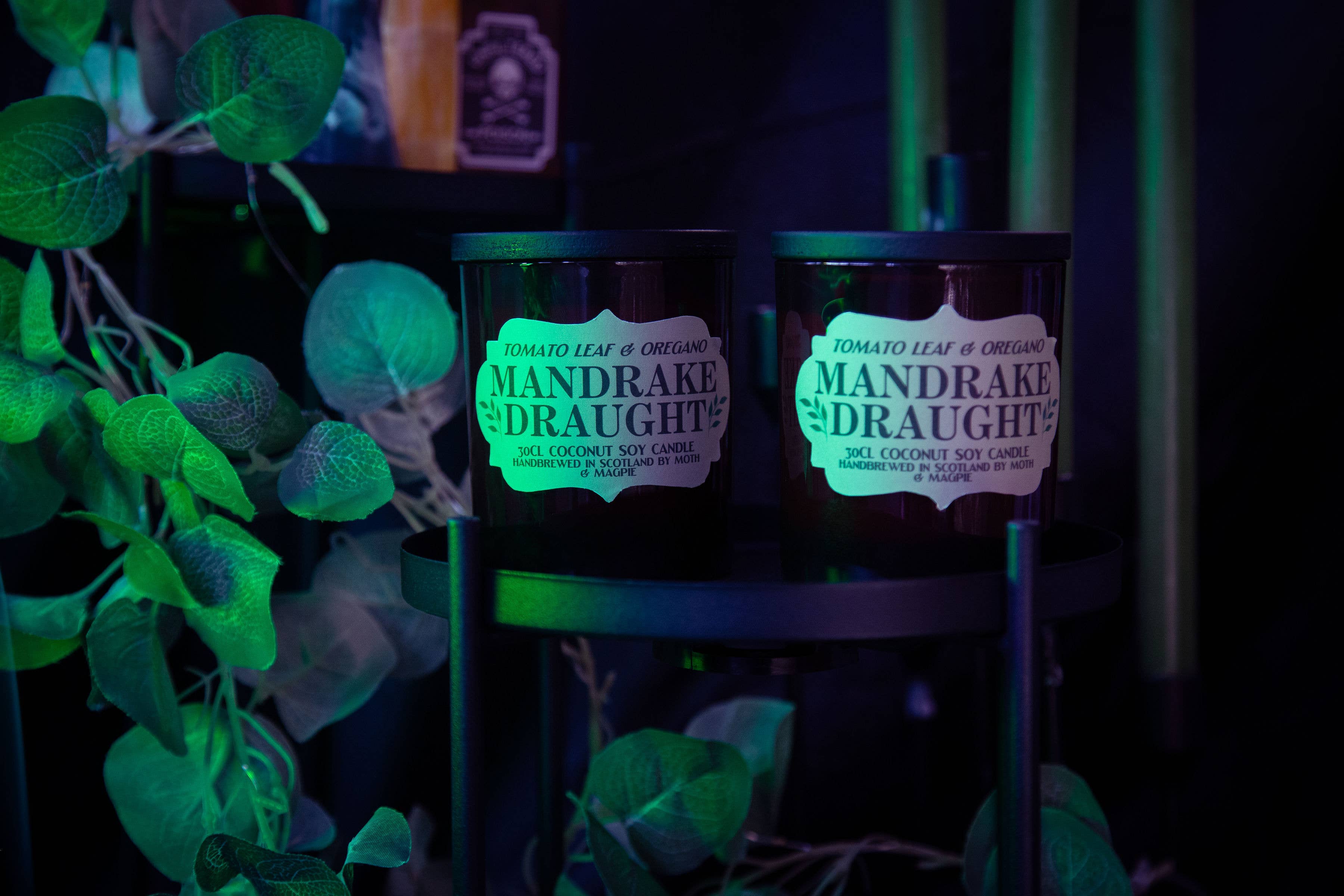 Moth & Magpie – wholesale Jar/filled candle – Mandrake Draught | Handmade 30cl Fantasy Candle1