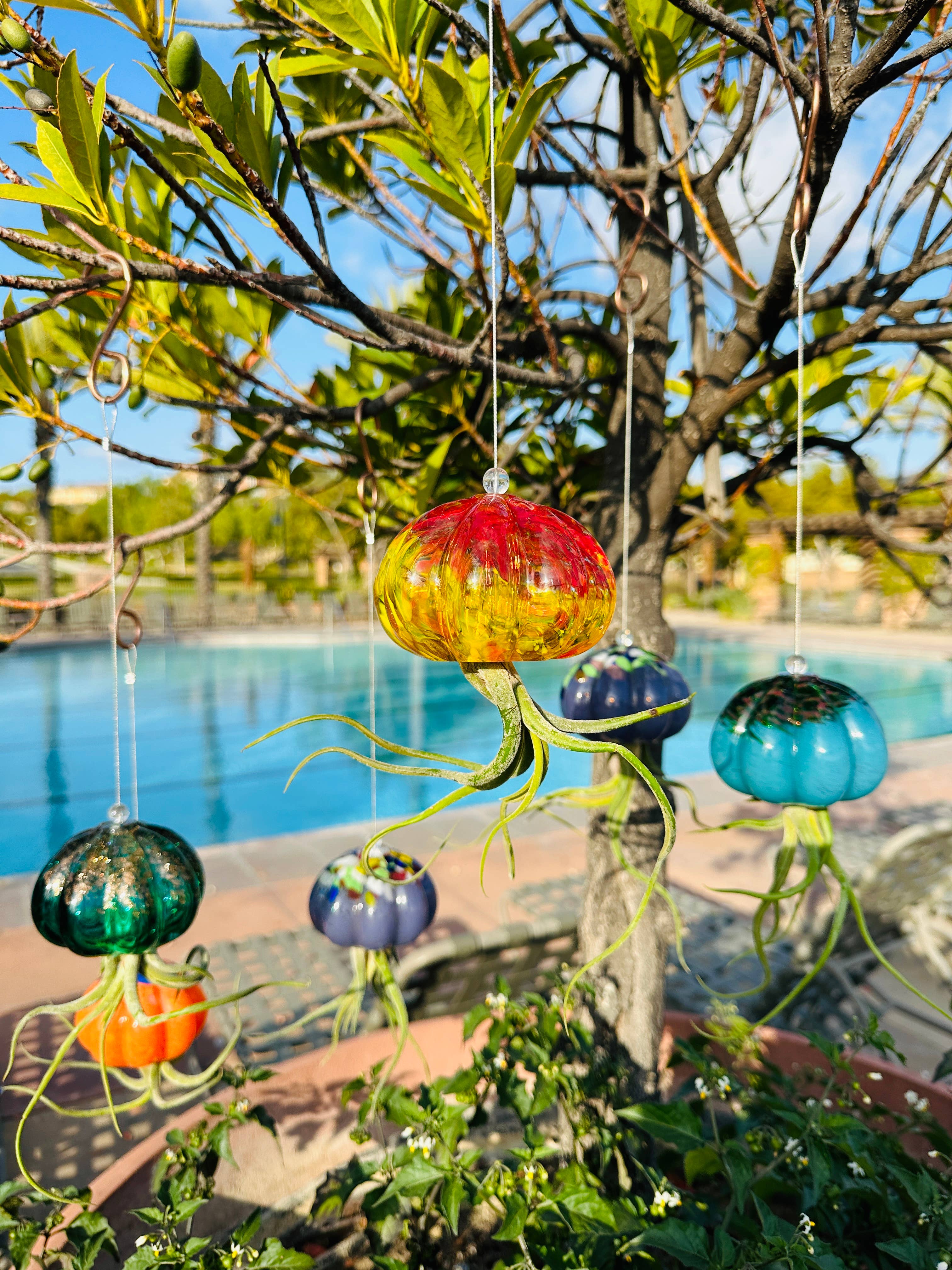 ApricotMint - Wholesale Hanging Planter - Cauliflower Jellyfish Air Plant Holder (plant not included)13