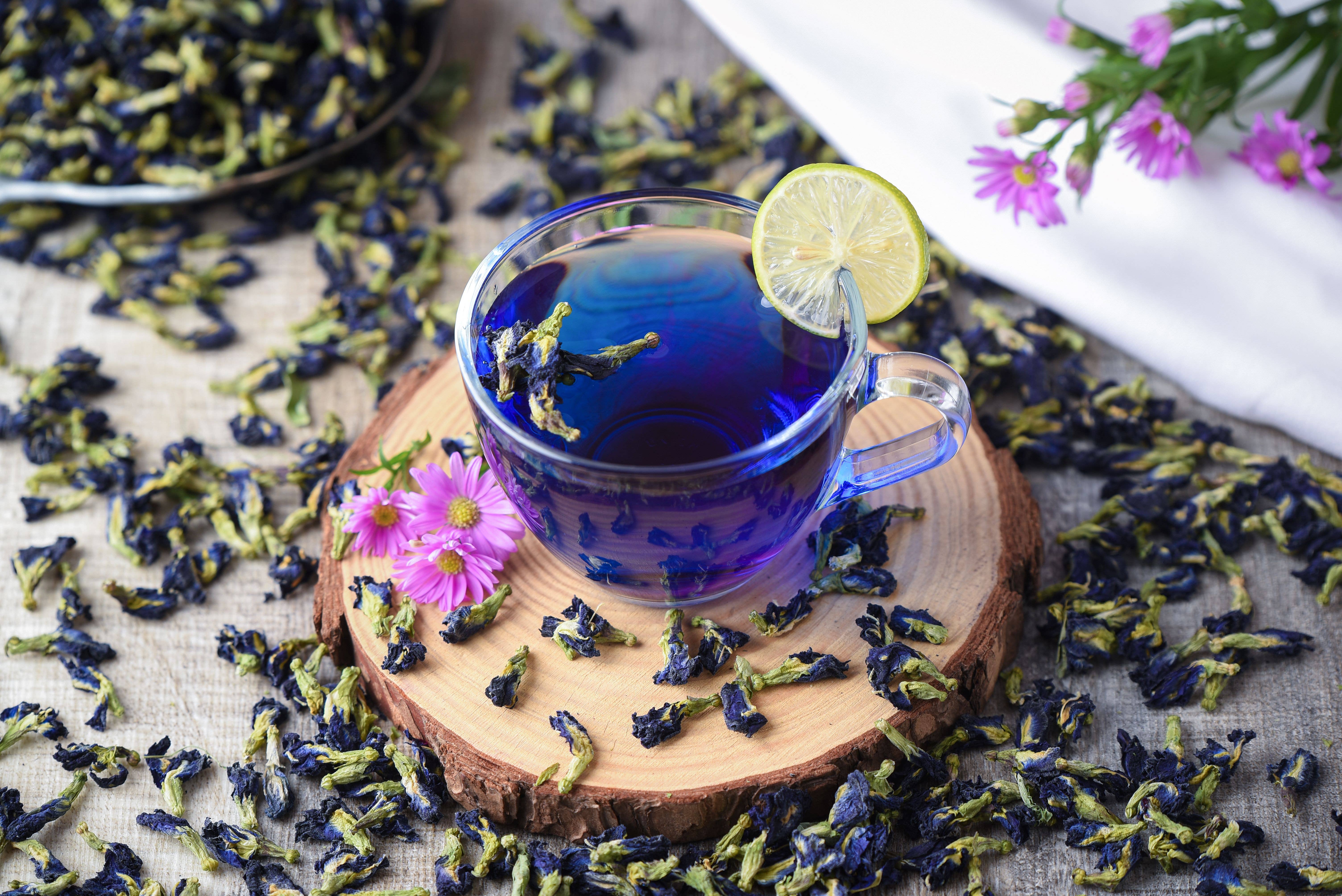 Terralux LLC - Wholesale Loose Tea - Butterfly Pea Flower Tea6