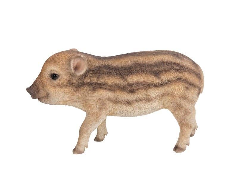 Hi-Line Gift Ltd. - Wholesale Decorative Figurine - Wild Baby Boar Standing