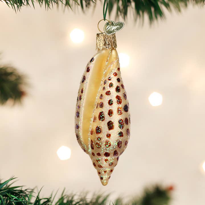 Junonia Shell Ornament for wholesale by Old World Christmas