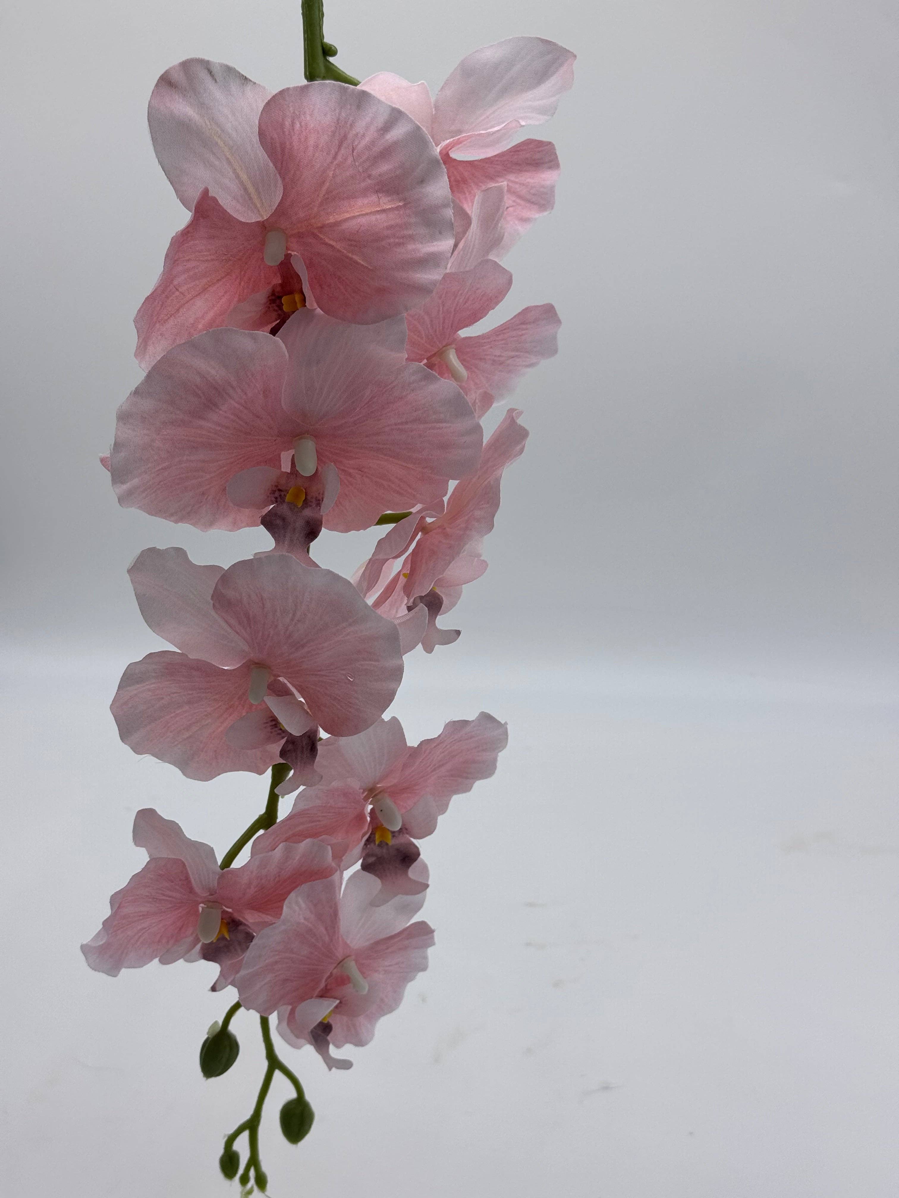 JKF & Co Pty Ltd – Engroshandel Kunstige blomster – Orkidé Silke5