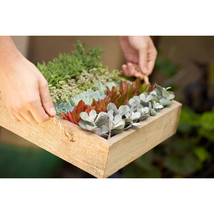 Love Reclaimed - Wholesale Decorative Tray - Rustic Farmhouse Reclaimed Wood Tray3