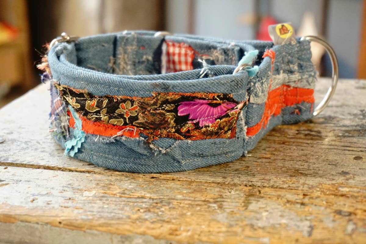 hundsfutter - Wholesale Pet Collar - Dog - “Easy” anti-escape dog collar - mixed media jeans4