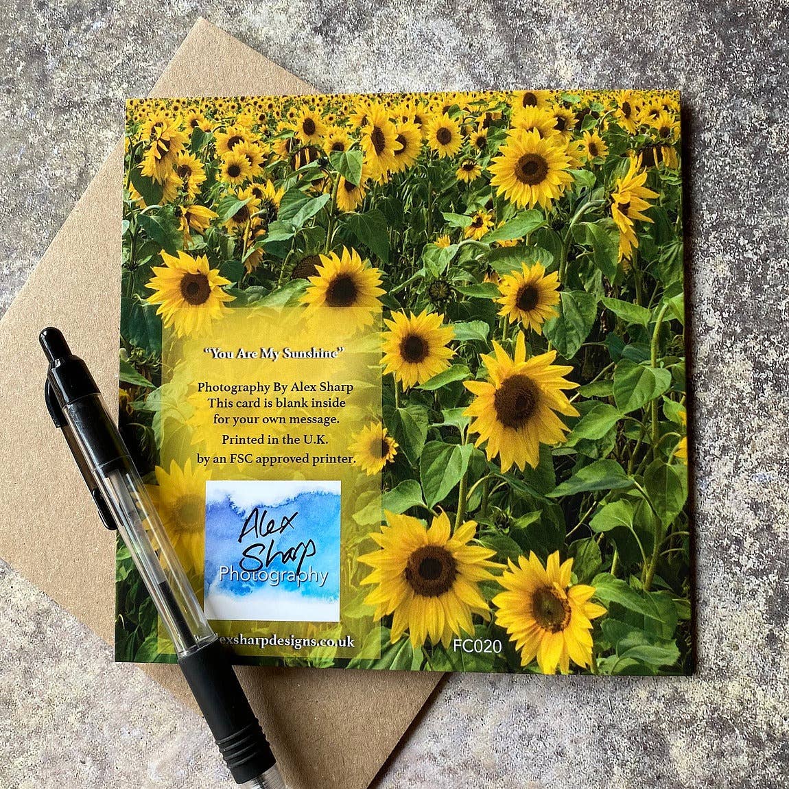 Alex Sharp – wholesale Vardagliga hälsningskort – Solros hälsningskort2