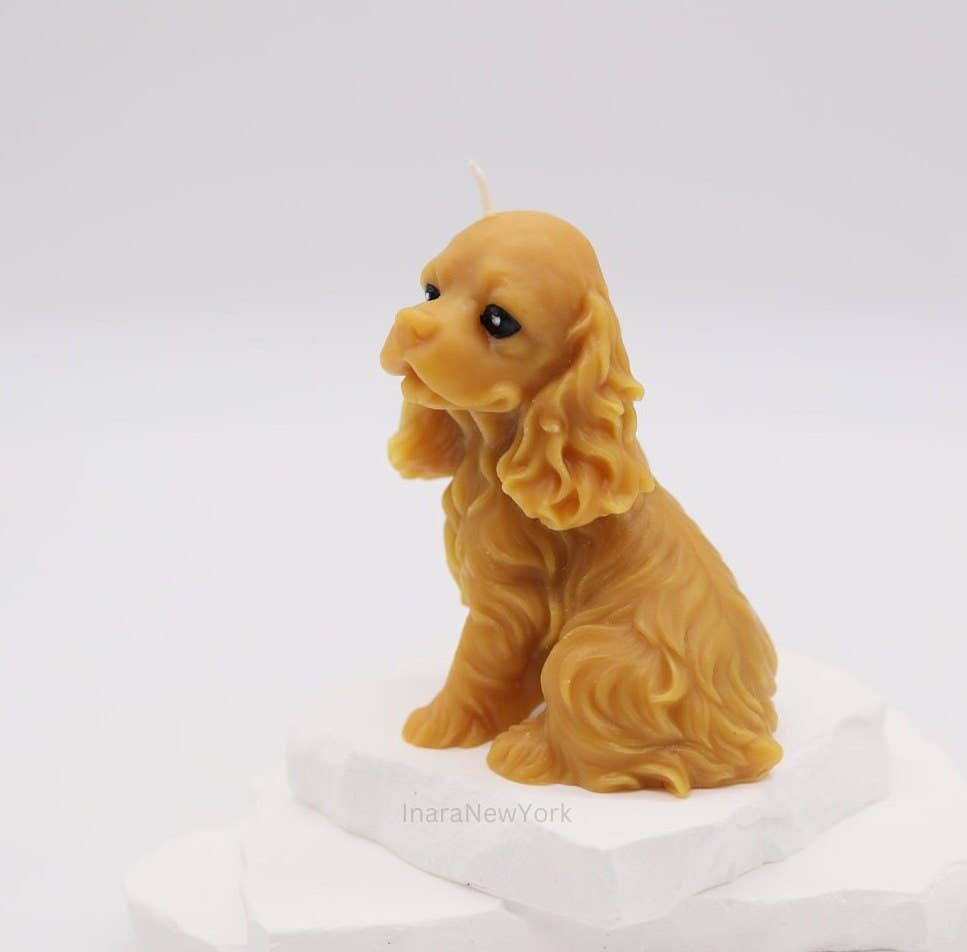 Inara New York - Wholesale Grappige kaars - Cocker Spaniël | Ierse setter hond Kaars3
