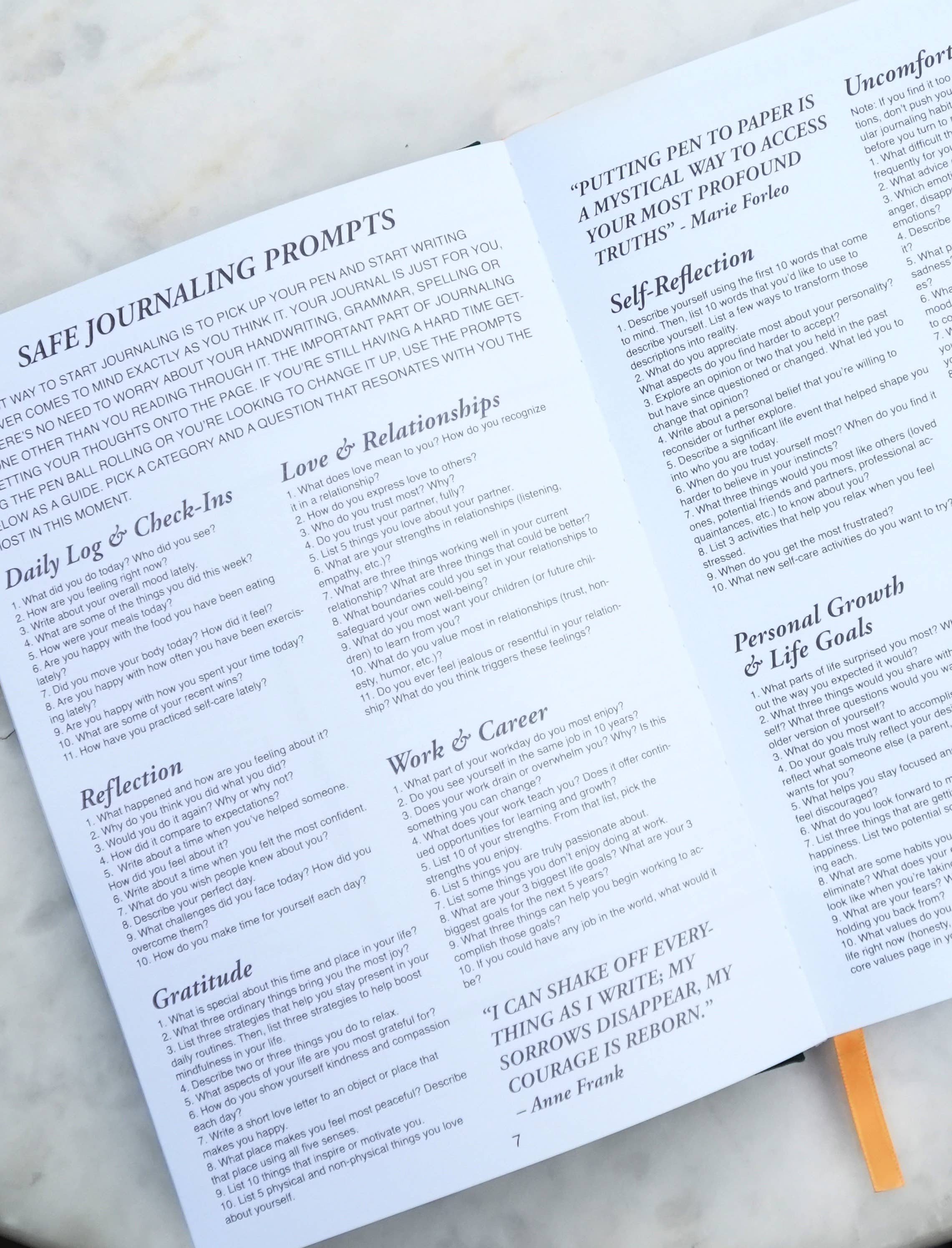 Safe Journal - Wholesale Journal/Diary - Safe Journal: Organized Diary - Therapist Recommended 5