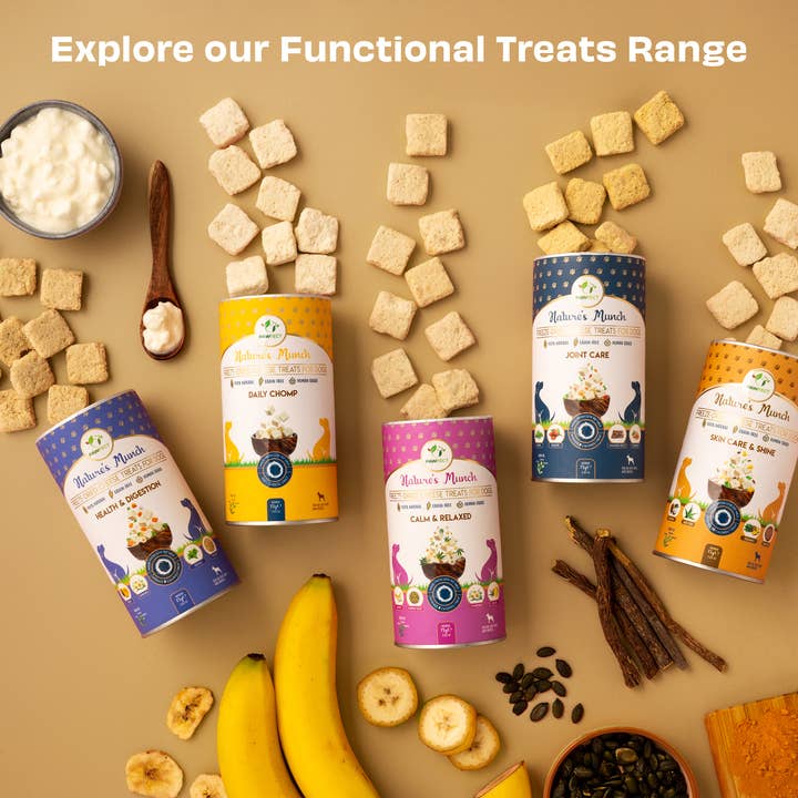 Pawfect Foods - Wholesale Pet Treats - Dog - Pawfect Nature's Munch Freeze-Dried Cheese Skin Care Treats for Dogs| 100% Natural| High Protein, Low Fat| 8 Calories per Treat| Grain-Free| Healthy Training Treats (75g/2.65oz)5