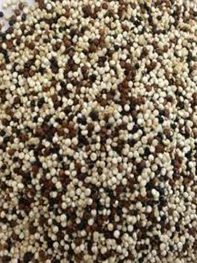 QUINOA TRI-COLOR - BULK PACK for wholesale by Hudson Meat Company