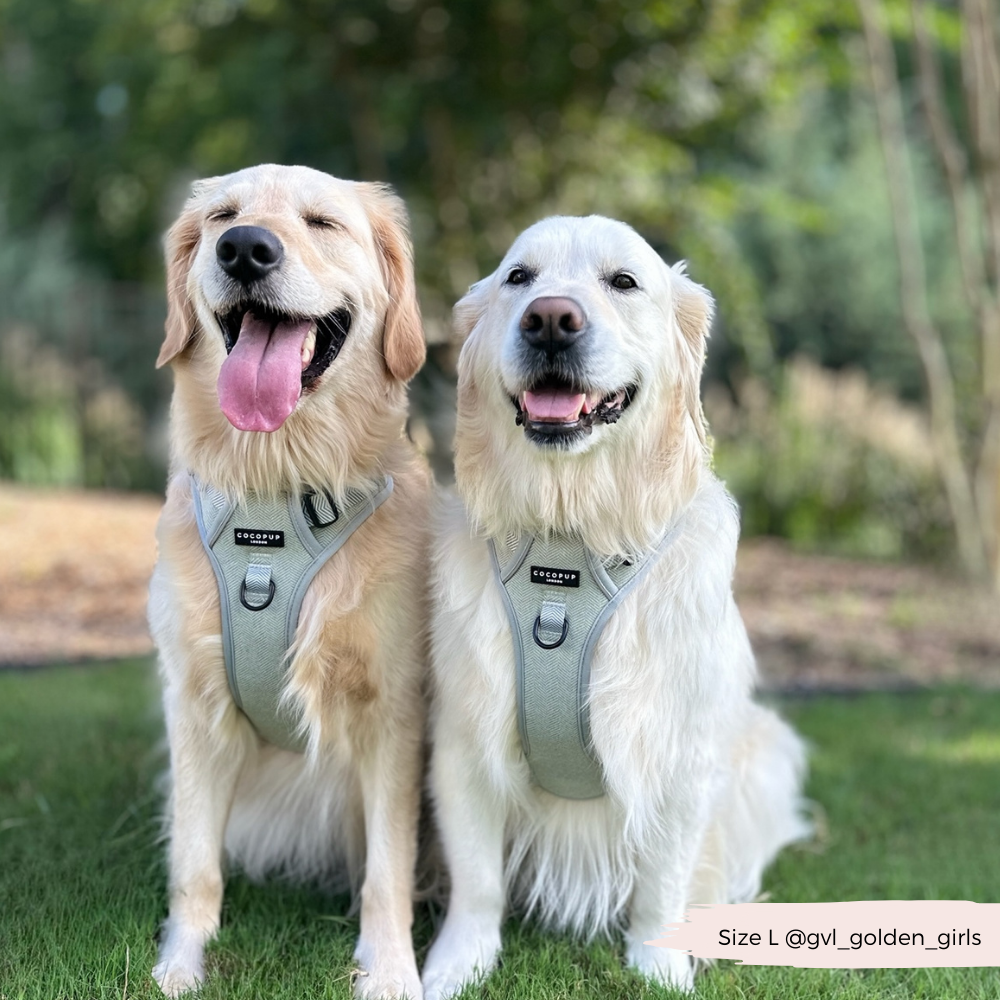 Cocopup London - Wholesale Tuig voor huisdieren - Hond - Verken Harness - Salie Tweed10